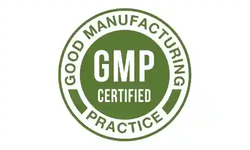 VigoSurge GMP Certified